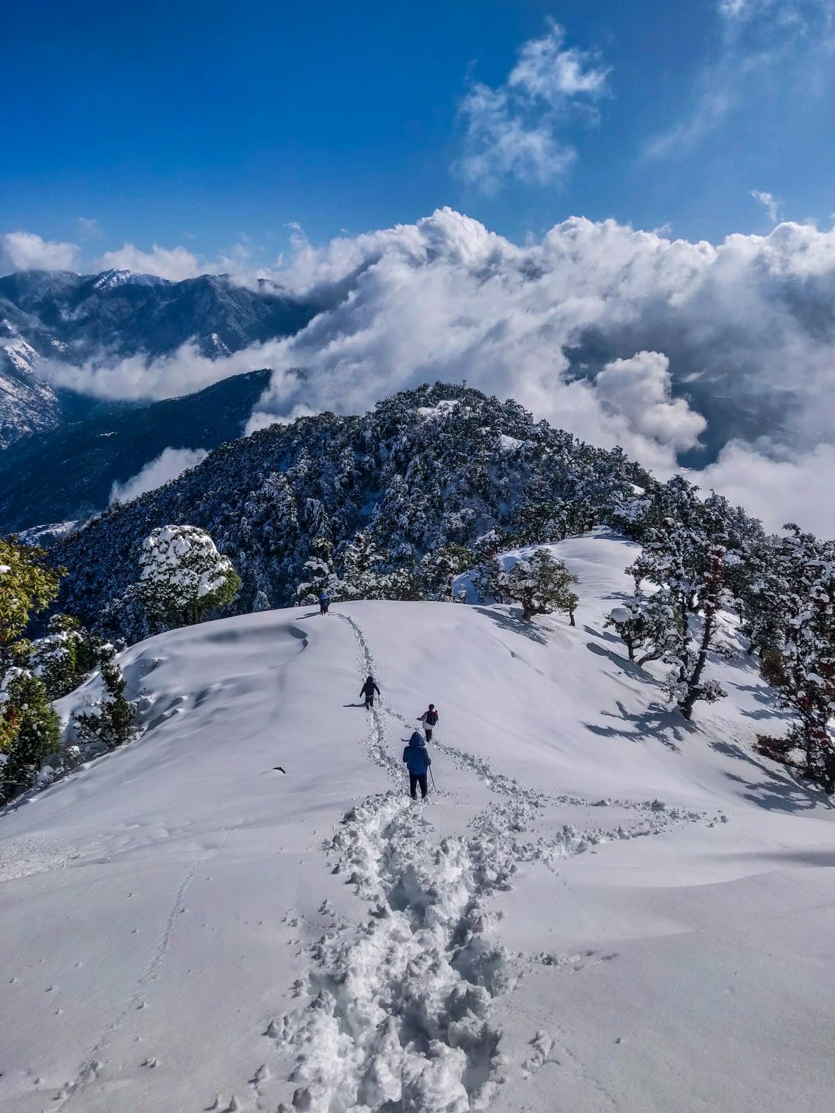 Delhi – Agra – Manali Package